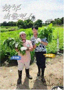 编辑部叙事拆解插画